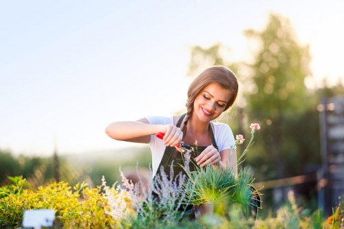 A woman in a well-maintained garden tending to flowering plants and shrubs during a bright, sunny day. The garden features a variety of plant beds with lush green foliage, small flowering plants, and neatly arranged borders. In the background, there are tall trees and a garden fence visible, indicating a private outdoor space with natural sunlight enhancing the vibrant colours of the blossoms and greenery. The woman is smiling as she uses a small gardening tool to care for the plants, demonstrating garden maintenance activity. The scene highlights a healthy, landscaped yard with well-kept plant beds and a tidy environment, typical of professional gardening services in Victoria. The outdoor setting appears warm and inviting, emphasizing the beauty of outdoor landscaping and planting work, supported subtly by the professional gardening practices visible in the scene.
