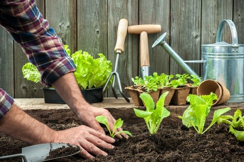 Workers following safe landscaping and rubbish removal practices