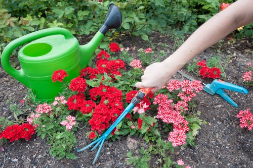 Final clean-up by an insured rubbish company after rubbish removal