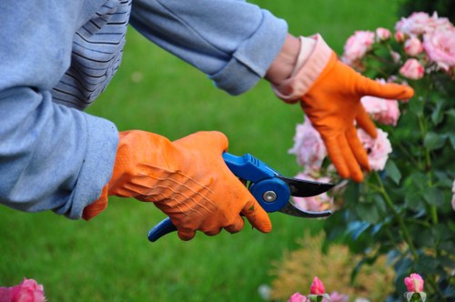 Client complaint being recorded for a landscaping service issue