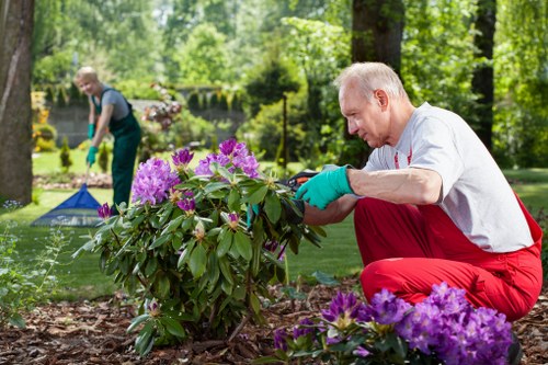Essential cookie information for Landscapers Victoria website users