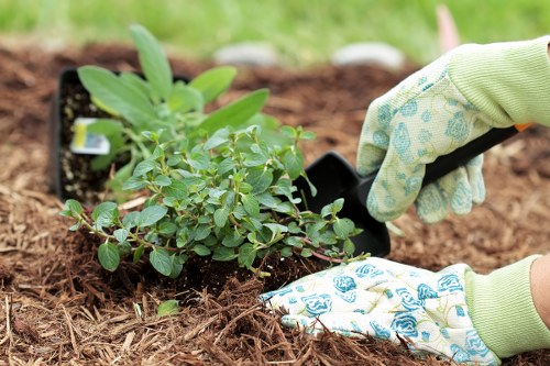 Protective PPE used during rubbish and landscaping waste removal