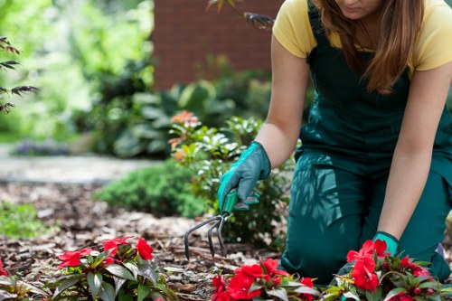 Soft landscaping with planting, edging, and mulch for a Victorian property