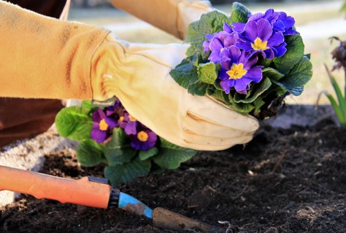 Seasonal garden maintenance and clearance services