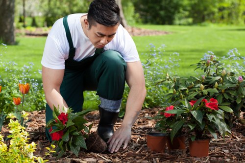 Landscape accessibility concept for Landscapers Victoria