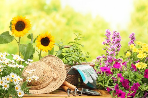 Professional garden maintenance services in Victoria