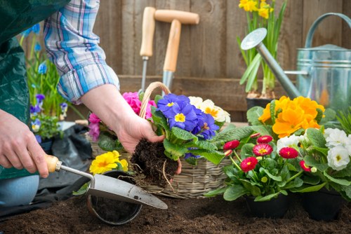 A gardener's hands are planting a flowering primula with vibrant purple petals and a yellow centre into freshly turned dark brown soil in a garden bed. Surrounding the planting area are various potted flowering plants, including yellow primulas and red, pink, and white blooms, arranged along the edge of the garden bed. In the background, there are gardening tools such as a small trowel and a watering can, with a wooden fence and some yellow daffodils in a metal watering can visible behind. The scene depicts an outdoor garden space with a mix of planted and potted garden elements, highlighting a well-maintained and vibrant garden environment typical of a residential outdoor area in the UK, possibly within the Victoria area, reflecting professional gardening and landscaping practices.