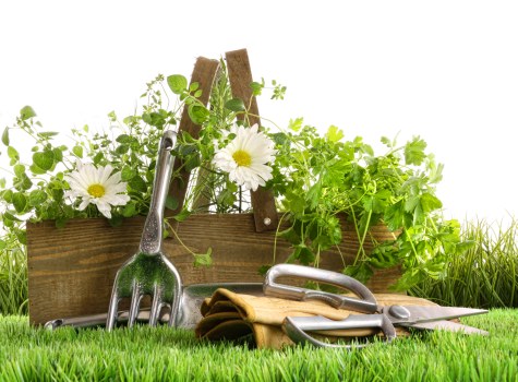 Eco-friendly garden clearance practices in Victoria