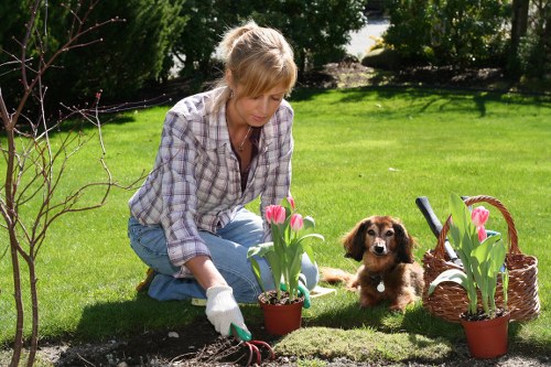 Selection of native plants for Victorian climate