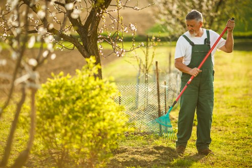 Team member assessing a landscaping service concern