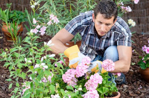 Ongoing accessibility improvement for Landscapers Victoria